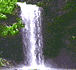 click here to go to kerala.com